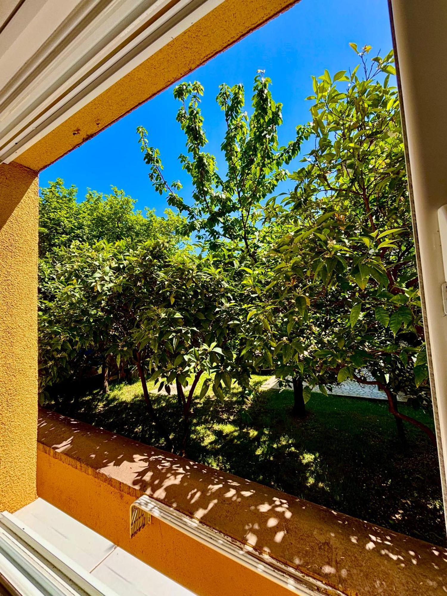 Apartments Ds Club Budva Zewnętrze zdjęcie